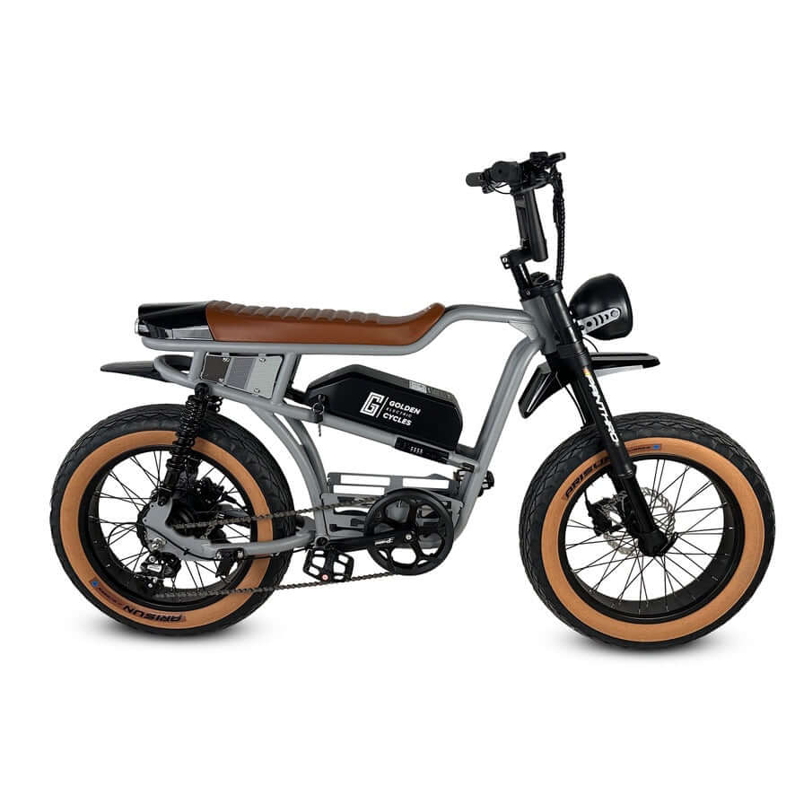Golden Cycles Panthro electric bike with 750W motor and stylish design, perfect for commuting and recreation.