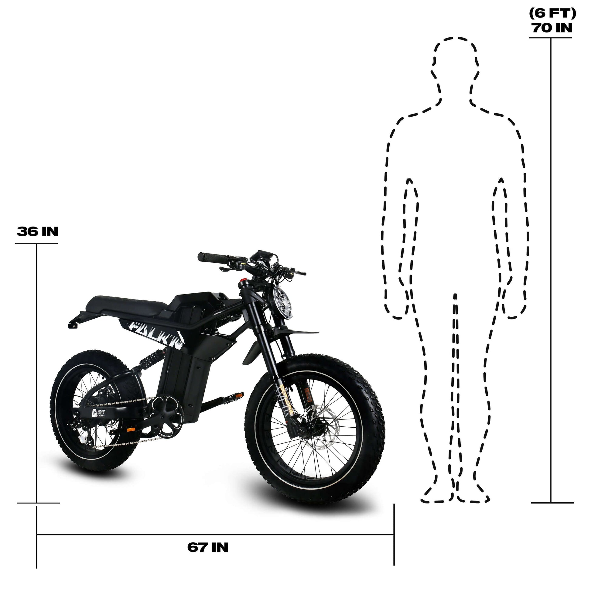 Golden Cycles FALKN E-bike dimensions with height and silhouette for size comparison, showcasing its sleek design.