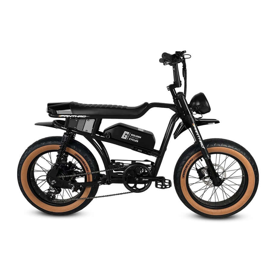 Golden Cycles Panthro electric bike with 750W motor and 48V battery, perfect for commuting and recreation.