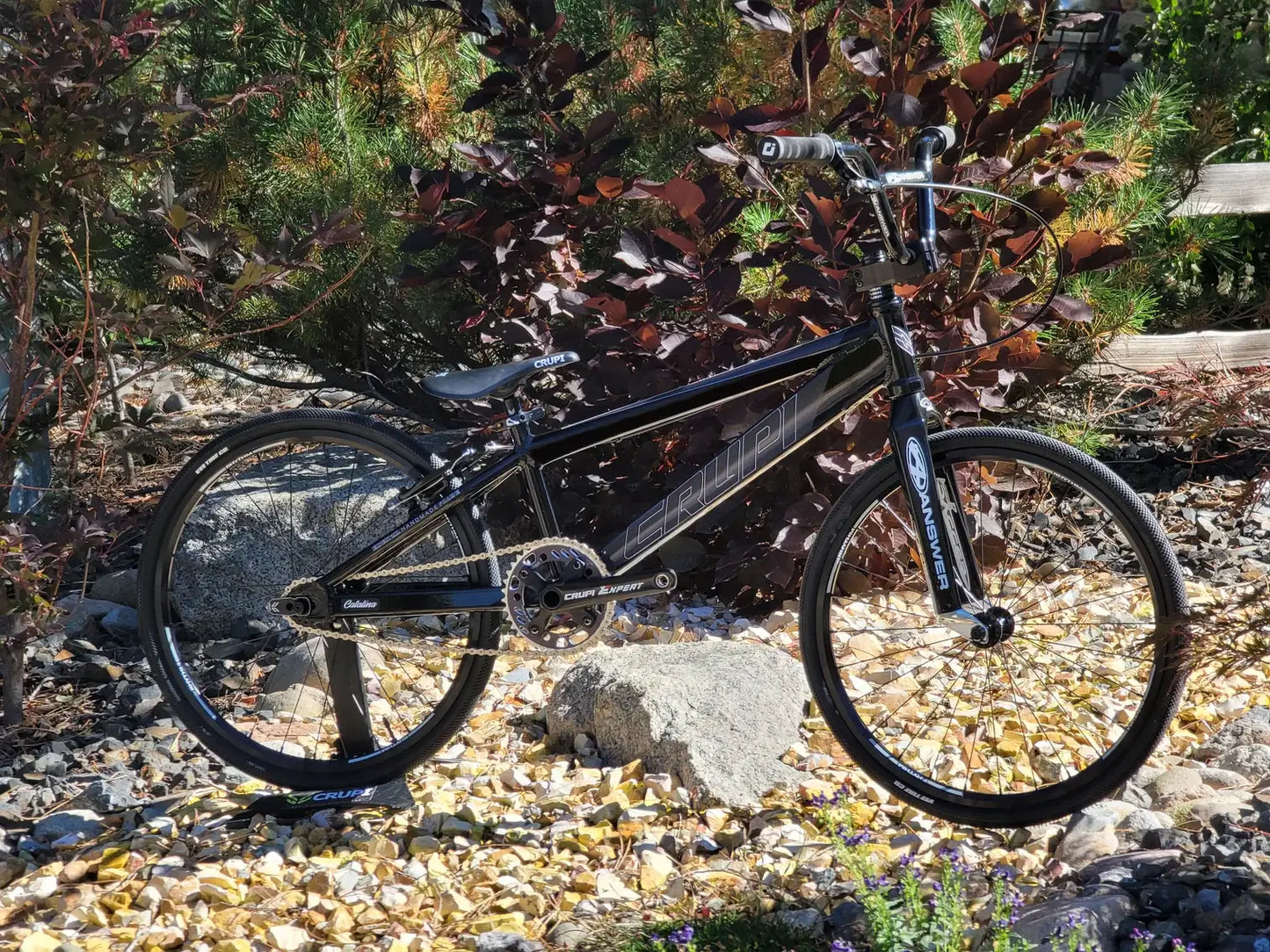 Crupi Catalina Expert XL