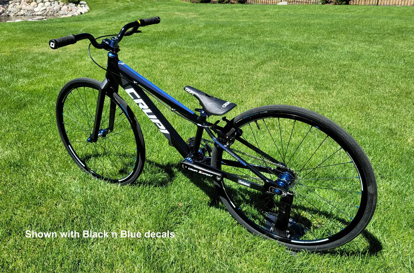 Crupi Catalina Junior Cruiser