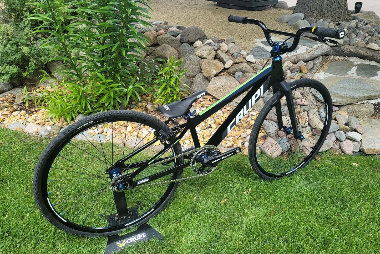 Cruipi Catalina Expert XL