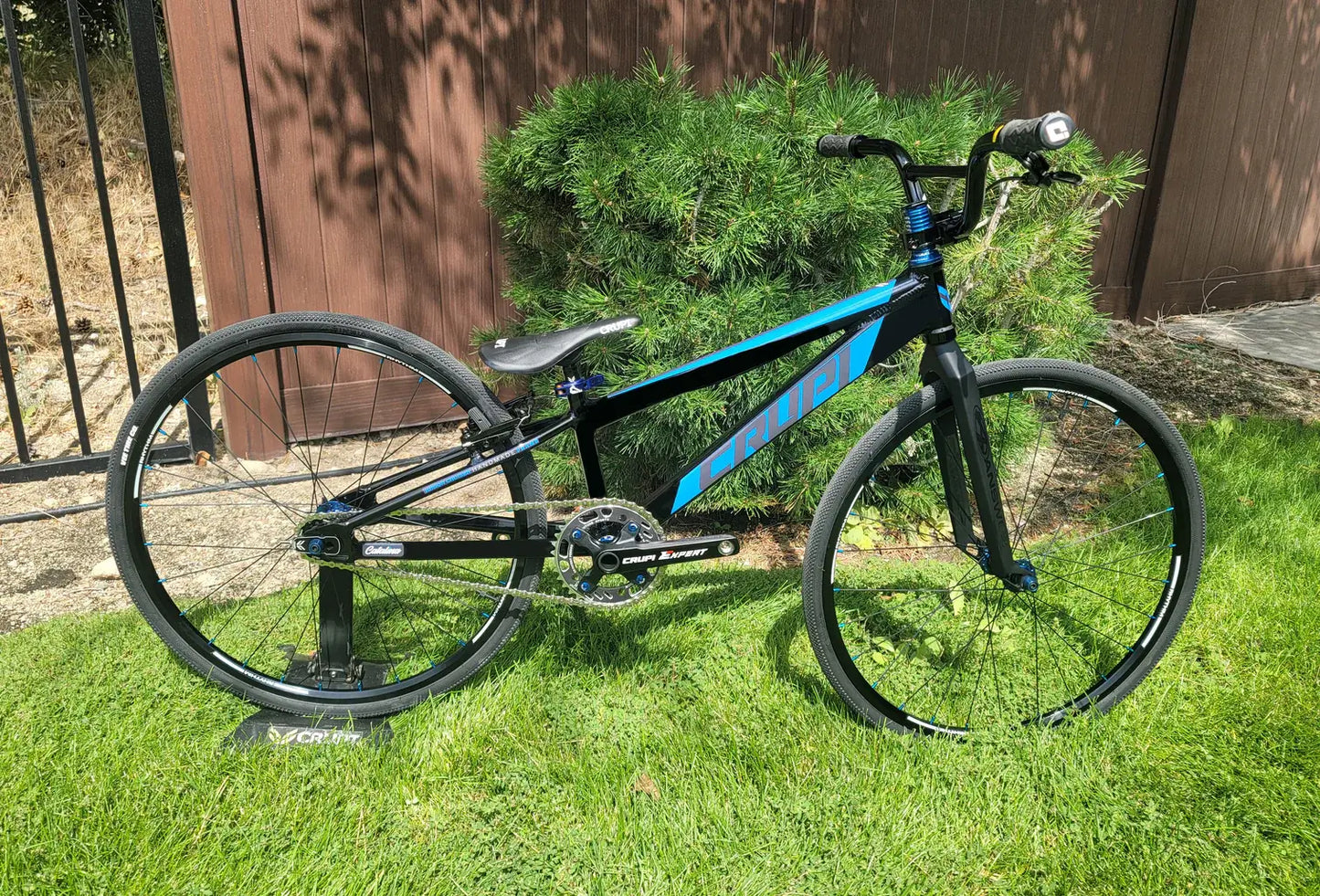 Crupi Catalina Expert Cruiser