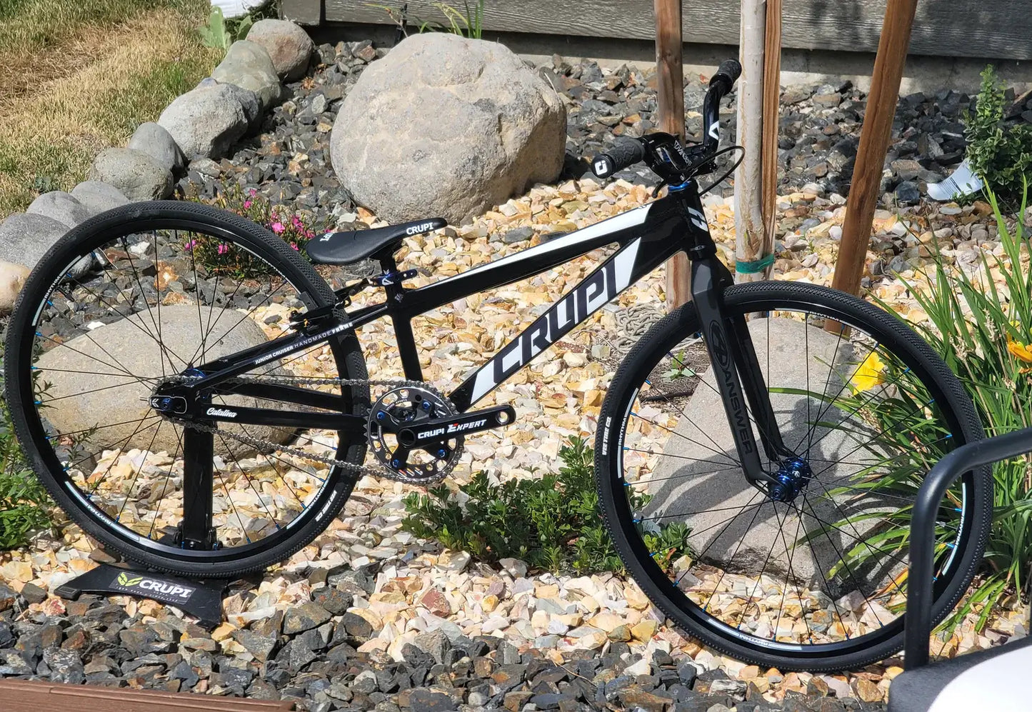 Crupi Catalina Junior Cruiser