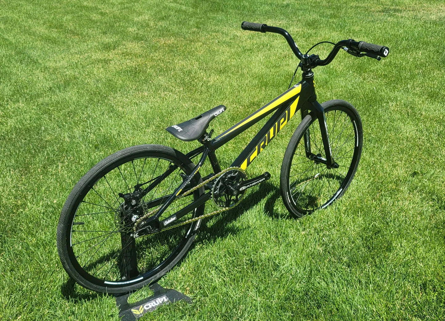 Crupi Catalina Junior