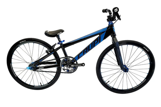 Crupi Catalina Junior