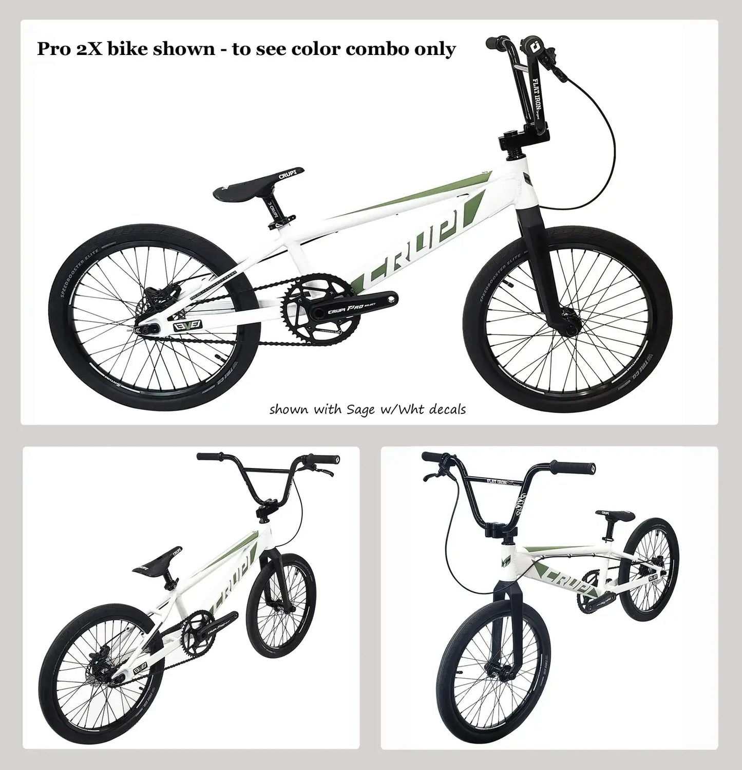 Crupi Catalina Expert XL