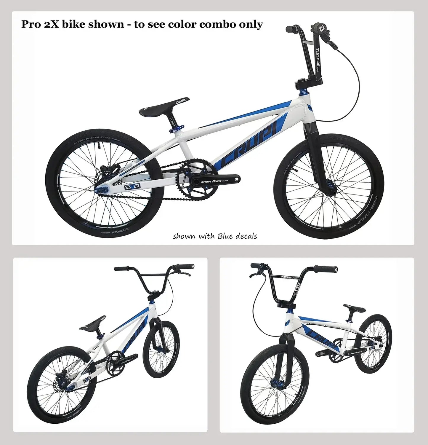 Crupi Catalina Expert XL