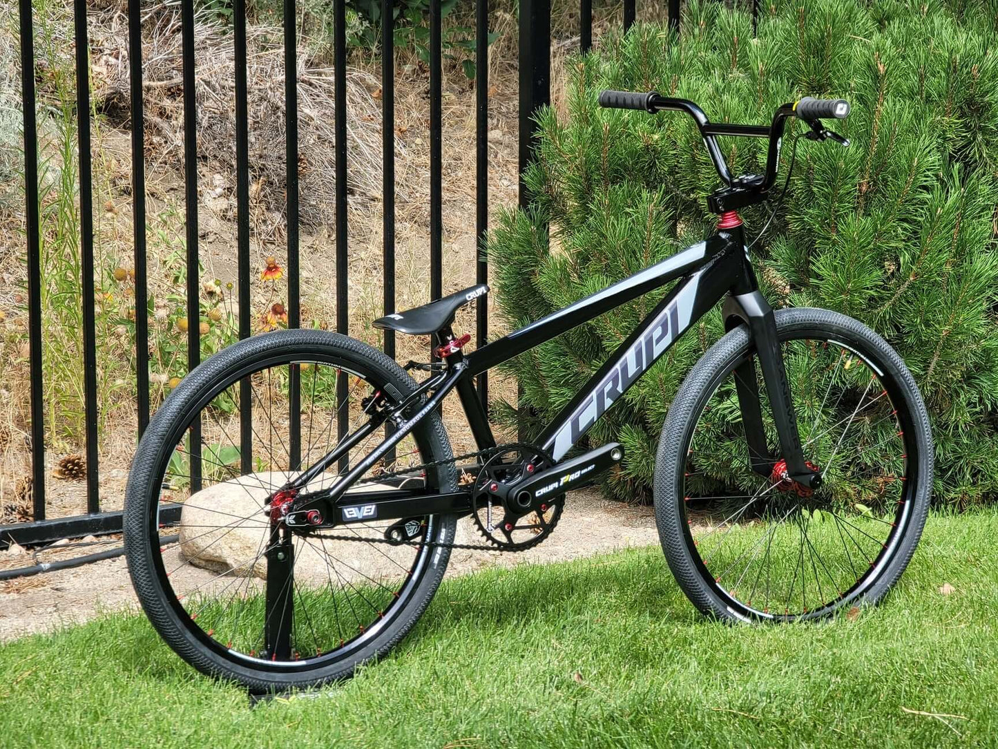 Crupi Level Pro Cruiser