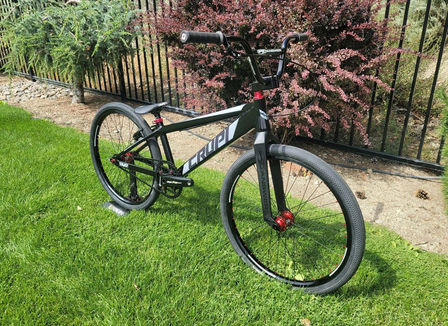 Crupi Level Pro Cruiser