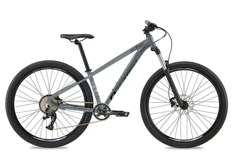 Eastern Bike Alpaka Men's 29" mountain bike in gray with hydraulic disc brakes and double-wall rims.