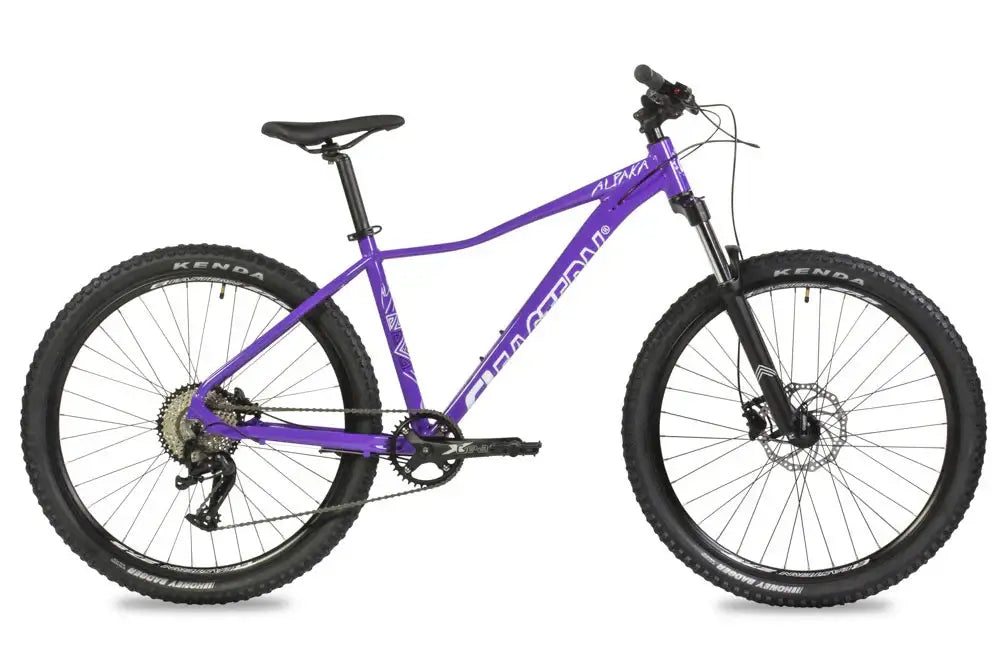 Eastern Bike Alpaka Men's 29", featuring hydraulic disc brakes, purple frame, and double-wall rims for smooth rides.