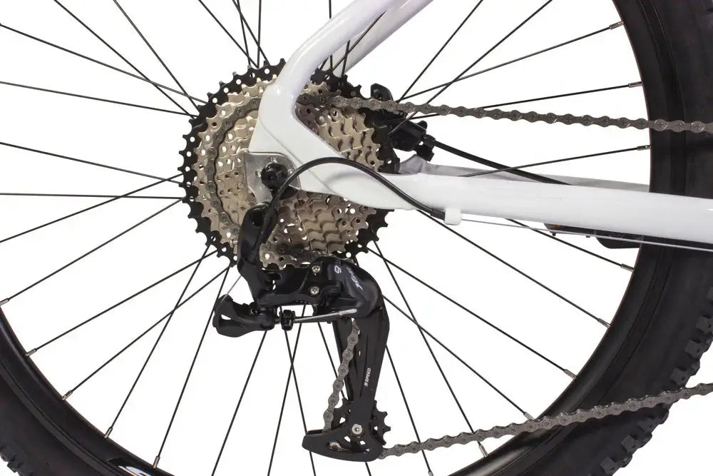 Close-up of the rear derailleur and cassette on an Eastern Bike Alpaka 27.5", showcasing precision gear shifting.