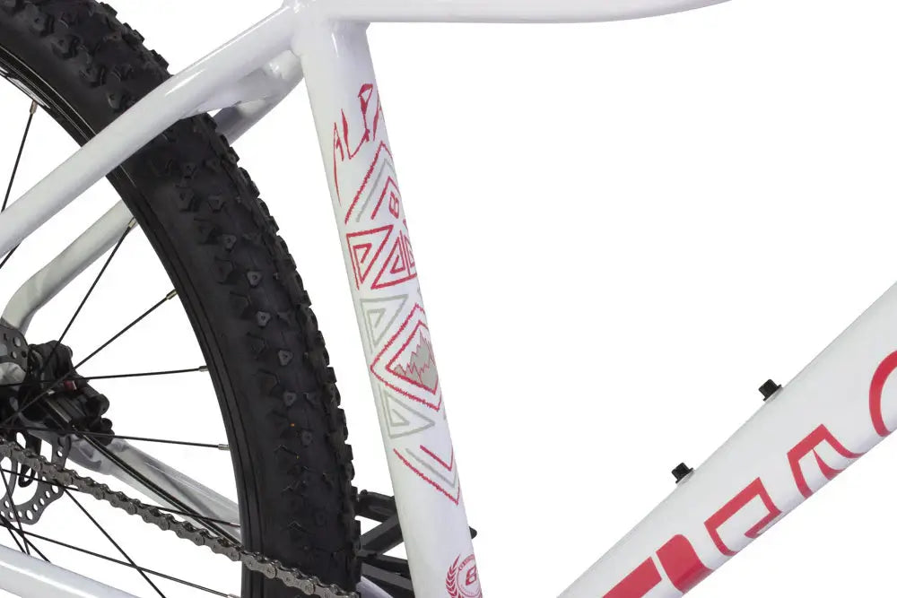 Close-up of Eastern Bike Alpaka 27.5" frame with geometric design and rugged tire for neighborhood rides.