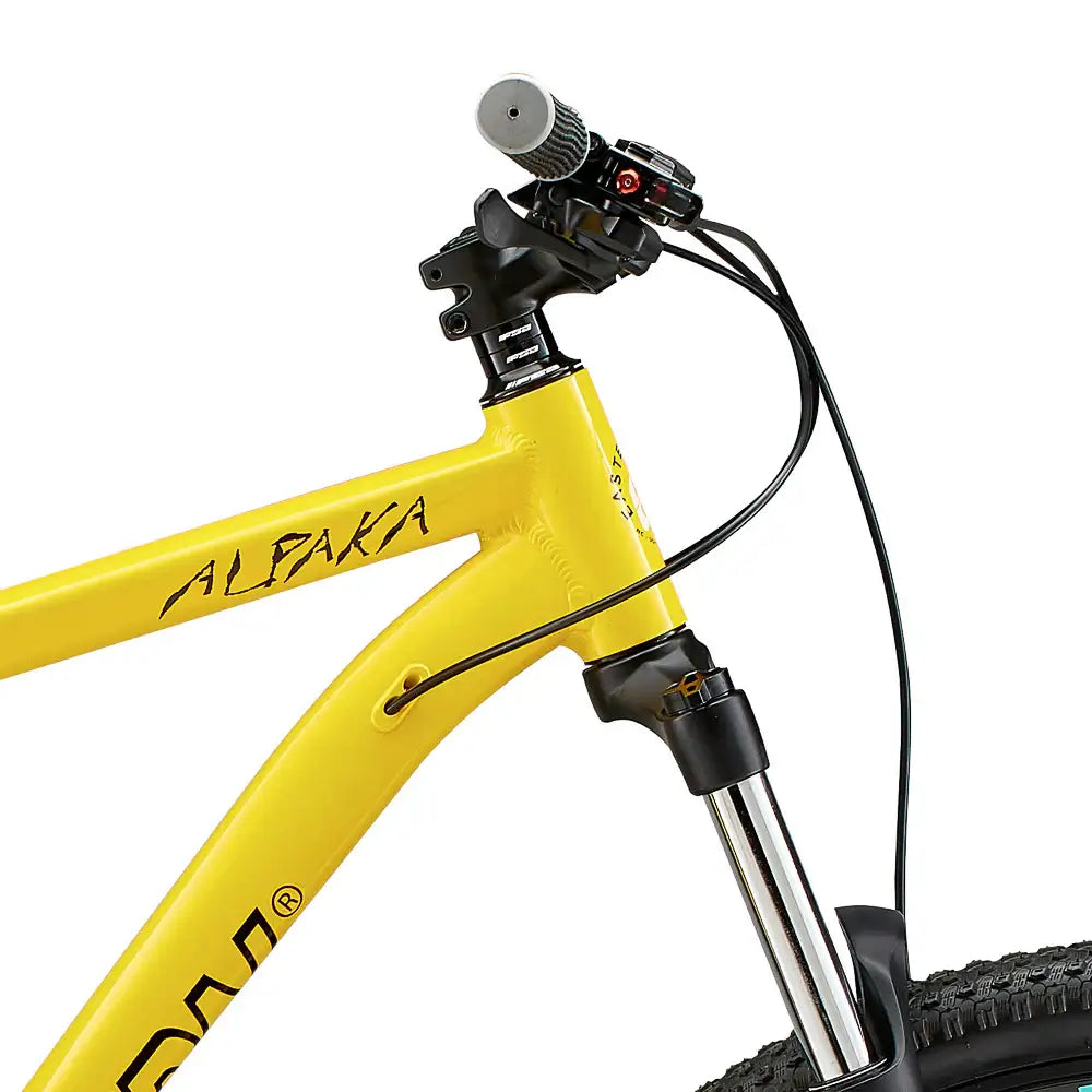 Eastern Bike Alpaka Men's 29"