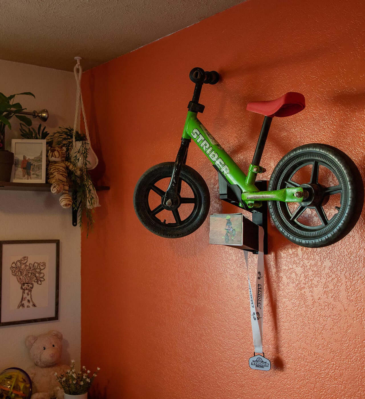 Strider Memory Mount