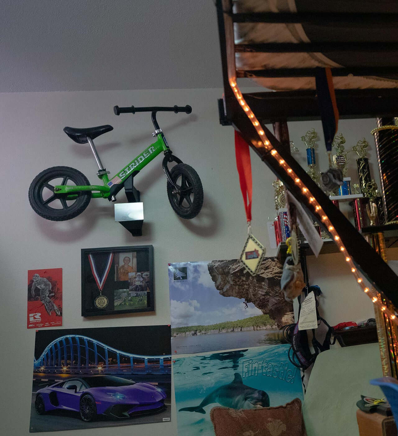 Strider Memory Mount