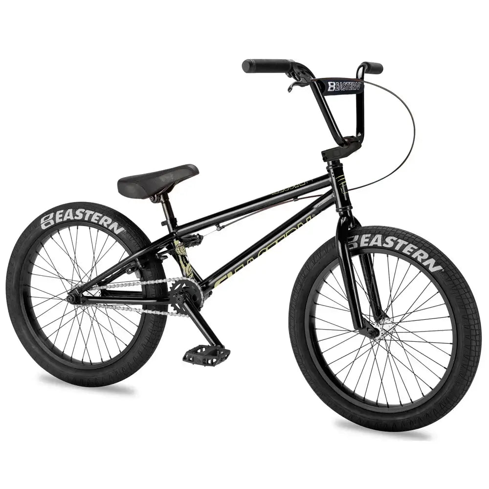 Eastern Bike Cobra BMX bike featuring a durable frame, sealed hubs, and 3-piece tubular cranks for young riders.
